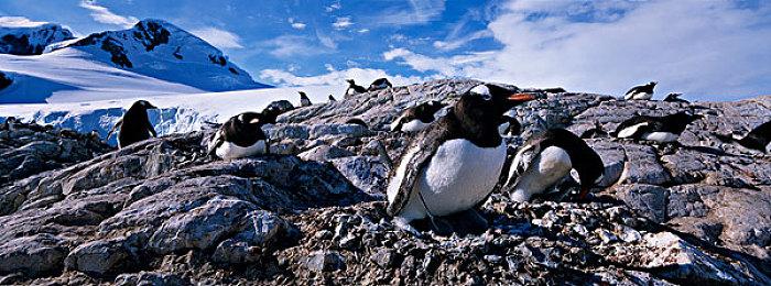 《怪物猎人 崛起》官方发布第四弹壁纸 限时6周领取