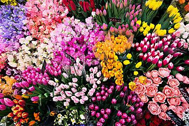 FS社举办新年贺卡活动 有机会赢取游戏原创周边奖励